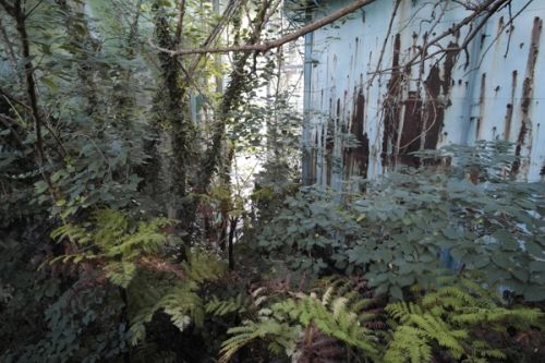 The Drowned World by Michael Wang