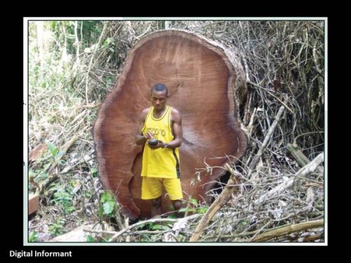 And you can say that by this device every single tree in certain regions is identified and tracked so that no illegal wood can go through the EU.