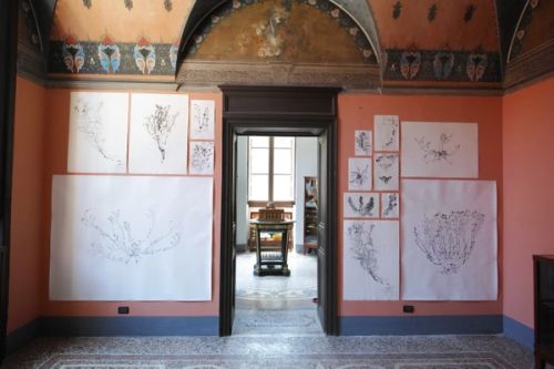 Palermo Herbal by Malin Franzen