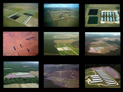 This is an almost random picture of a section of America. You see the evidence of farming, but what you don’t see – and this is almost the same language as missile sites or other military installation, they could be nuclear sites – but these are enormous pigsties that are built in increasing sizes all over the world.
