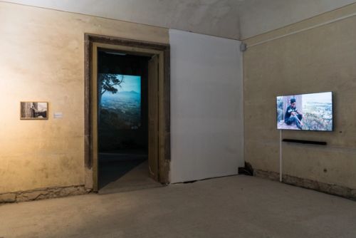 Wishing Trees by Uriel Orlow