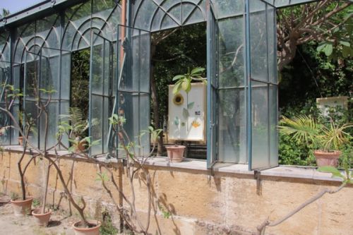 New Herbs from Palermo and Surroundings. A Sicilian Expedition by Alberto Baraya