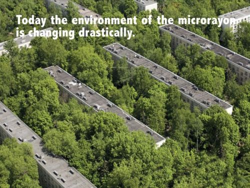 ...Today, modernity coexists with a larger and larger territory that is dedicated to its opposite...