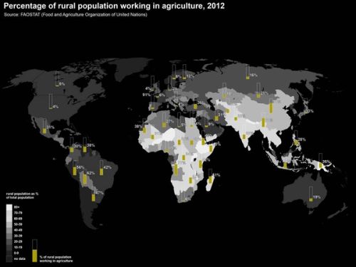 ...but this diagram shows that percentage together with the amount of people who actually work in the countryside. We see in Europe that this is a percentage somewhere between two and eight so almost negligible and you see that in most of the so called ‘backward’ areas of the world – in Africa, India and China – where there is still a lot of agriculture, the figure that doesn’t go below 50%.