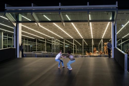 Atlante del gesto, Origine