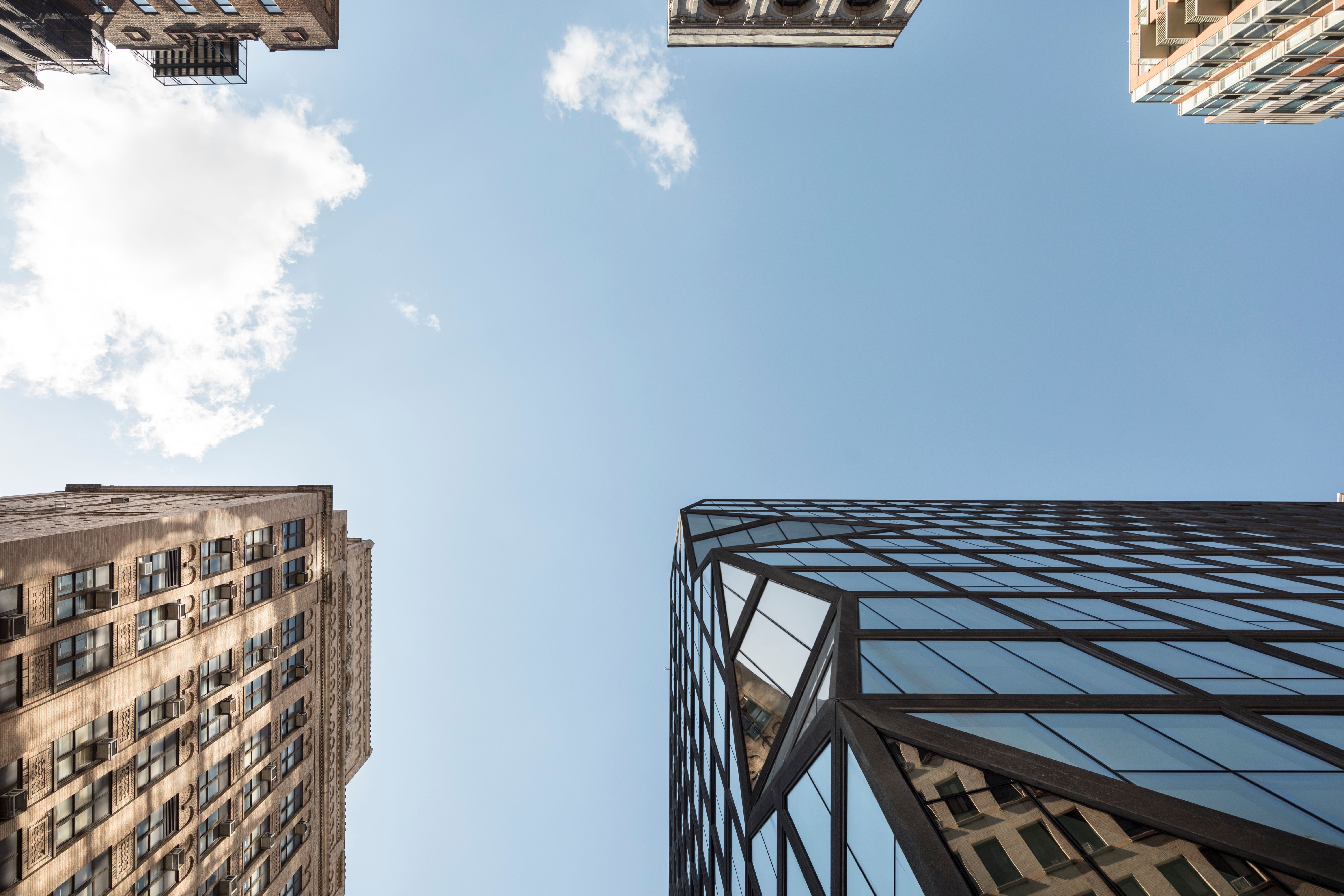Jussieu – Two Libraries