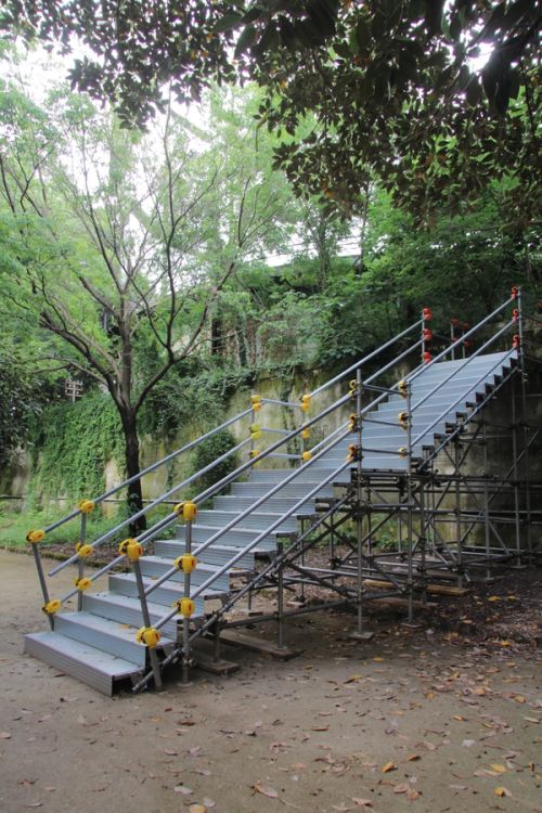 The Drowned World by Michael Wang