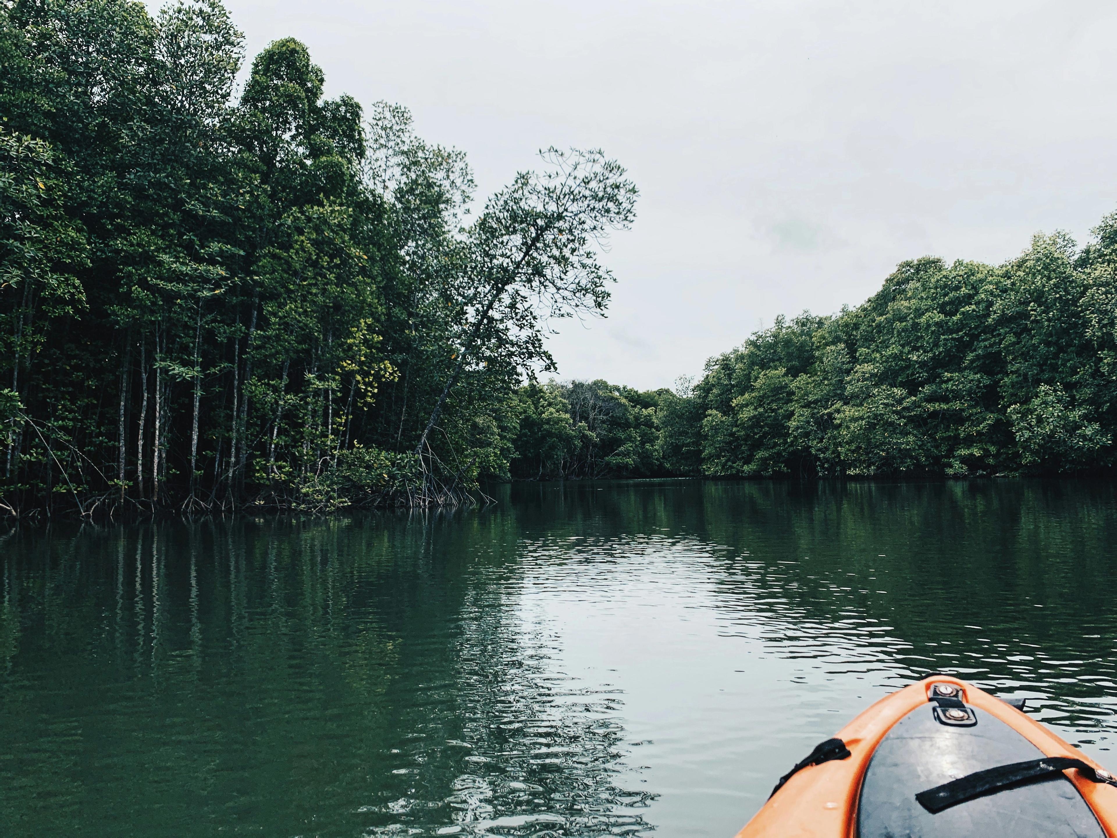 First Month Backpacking SEA