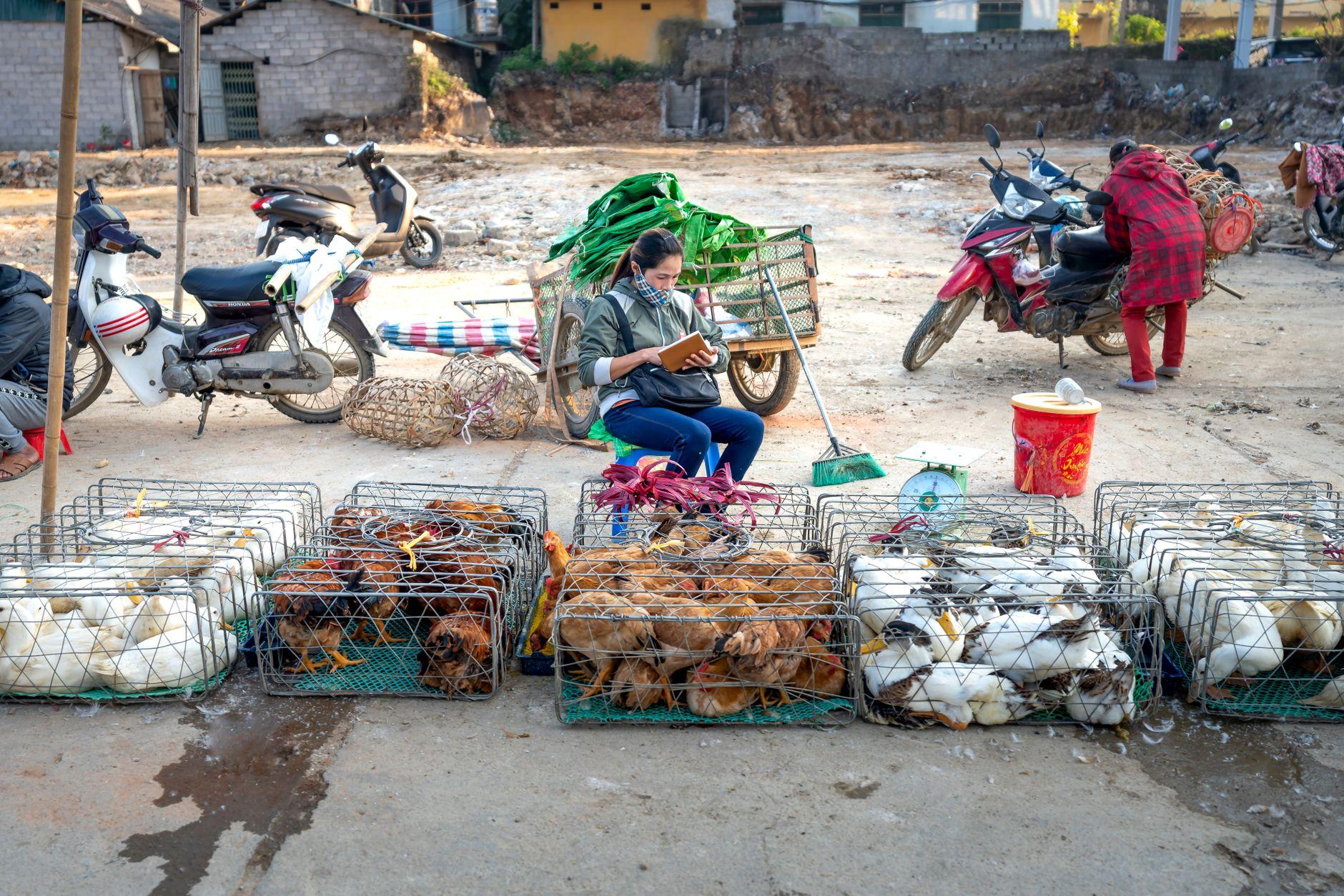 Everything You Heard About Money in Laos Is Slightly Out of Date