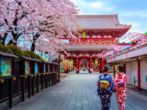 Innovation, Research & Global Opportunities: A Complete Guide to the Top Universities for MS in Japan
