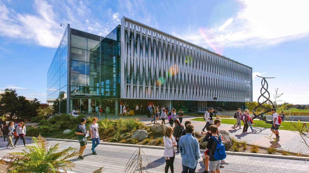 Top Universities for MBA in New Zealand: How to Choose the Right Business School