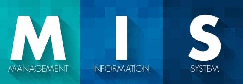 Why Study MIS in UK? Career Opportunities & Admission Process