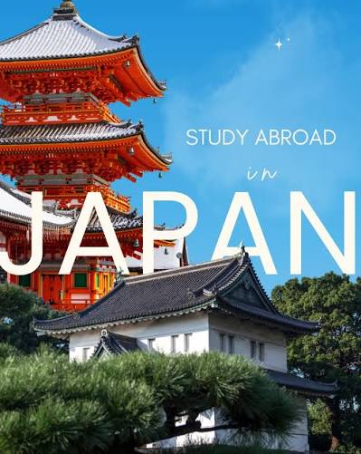 Beyond the Degree: Your Complete Guide to After MS Jobs in Japan