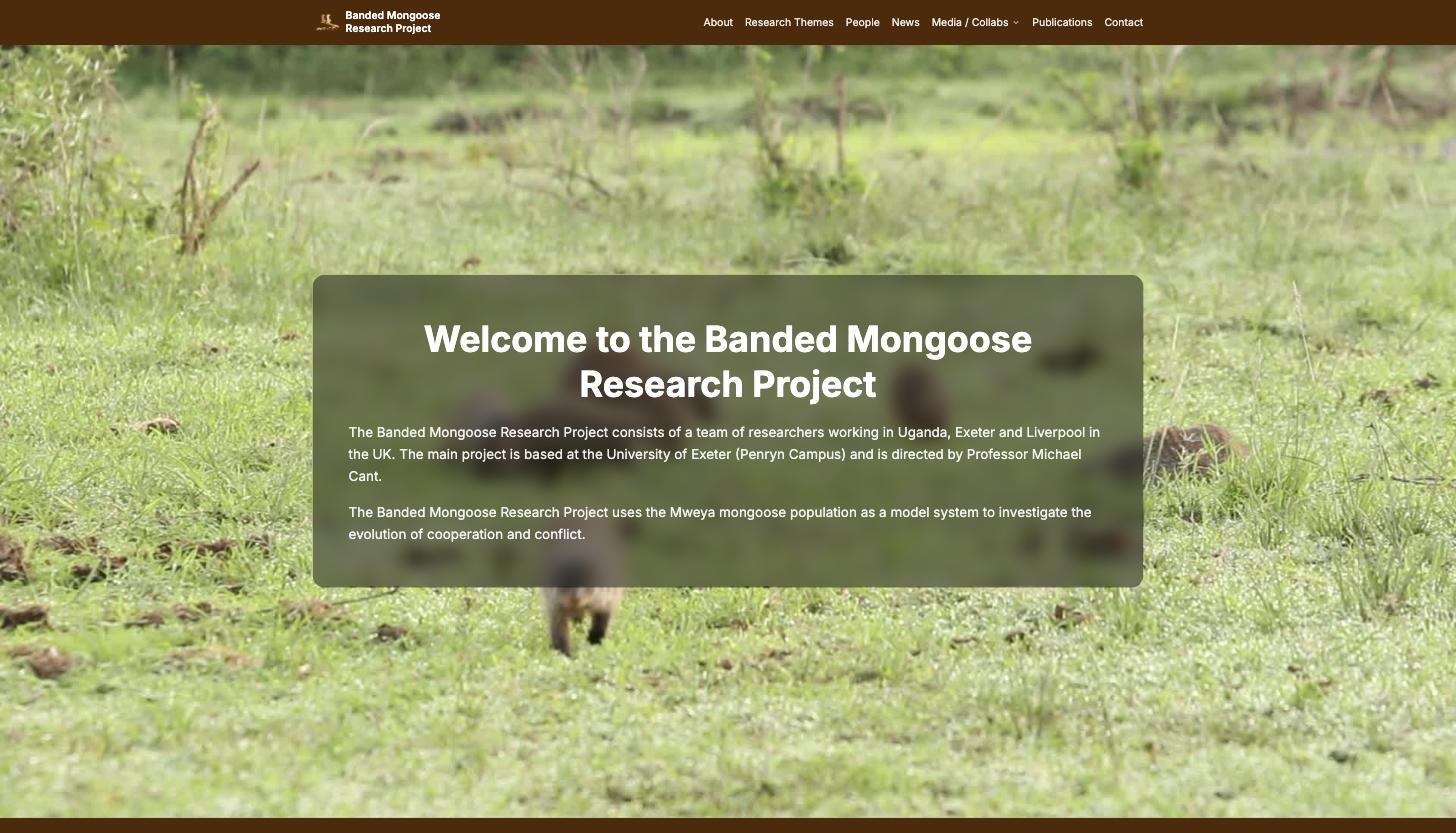 The Banded Mongoose Project homepage
