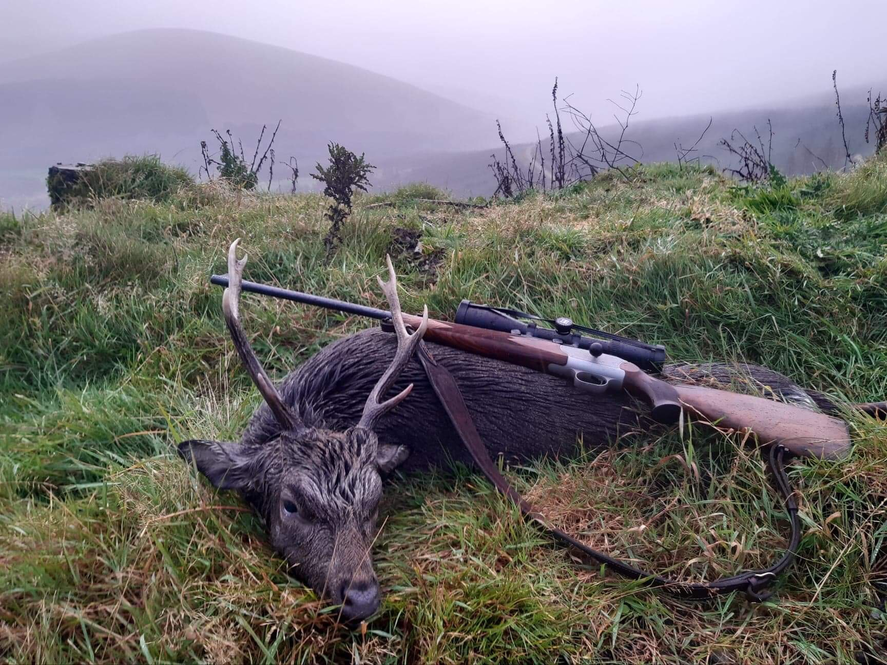 sika