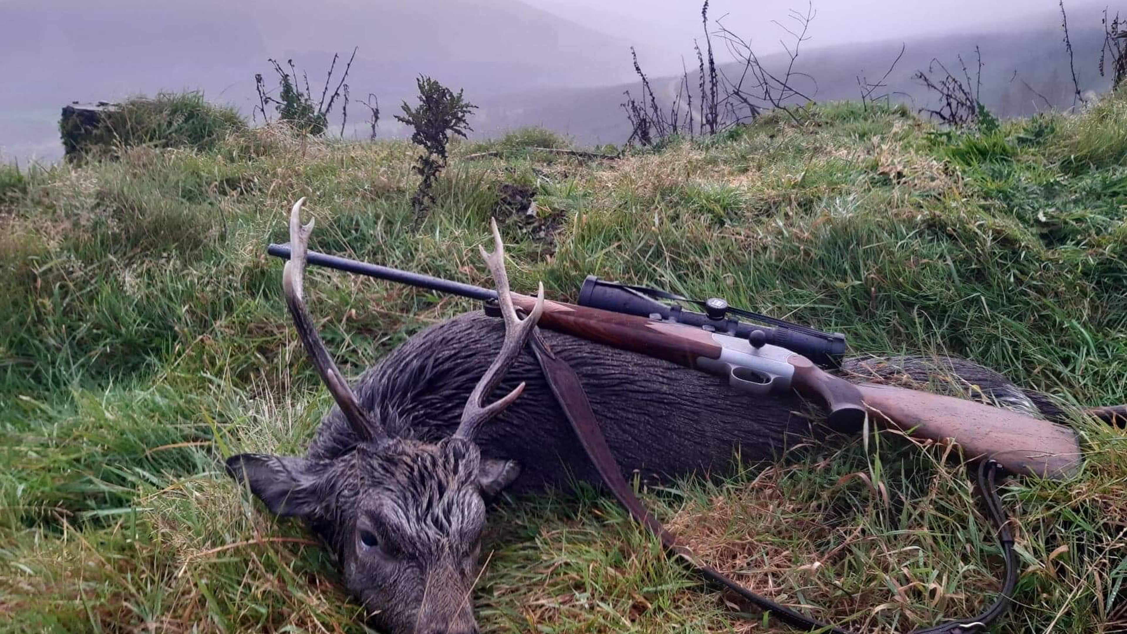 sika