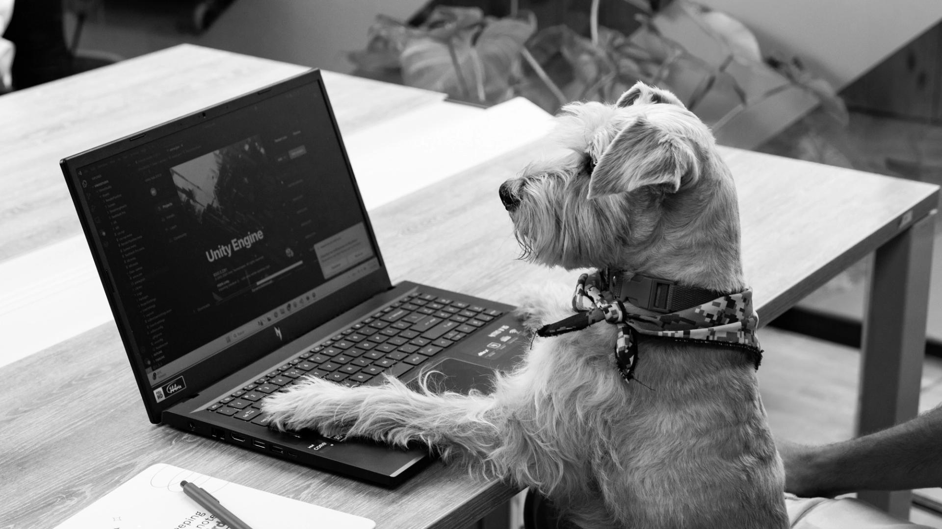 Perro escribiendo código