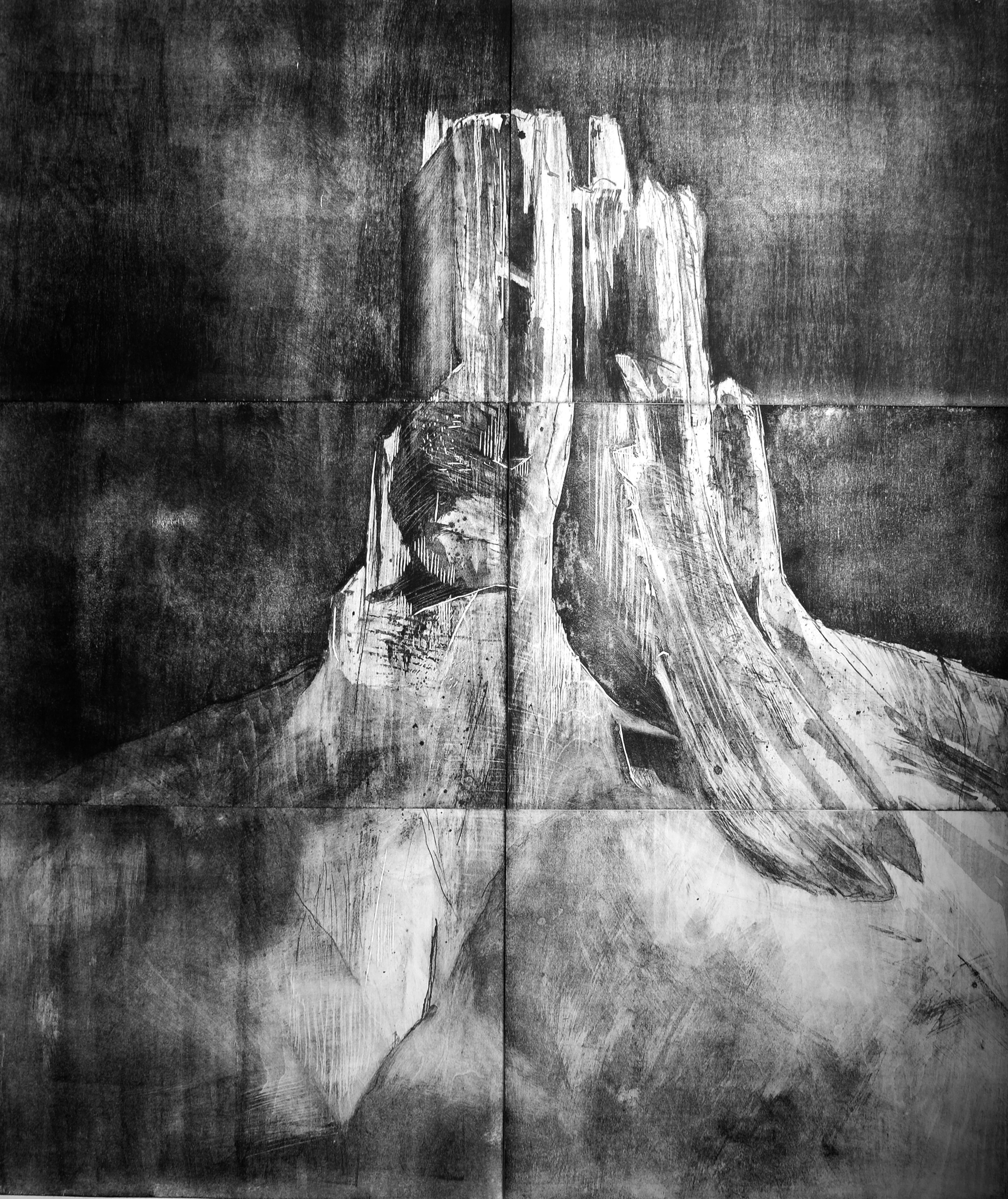 wood lithography print; black and white delicate abstract landscape