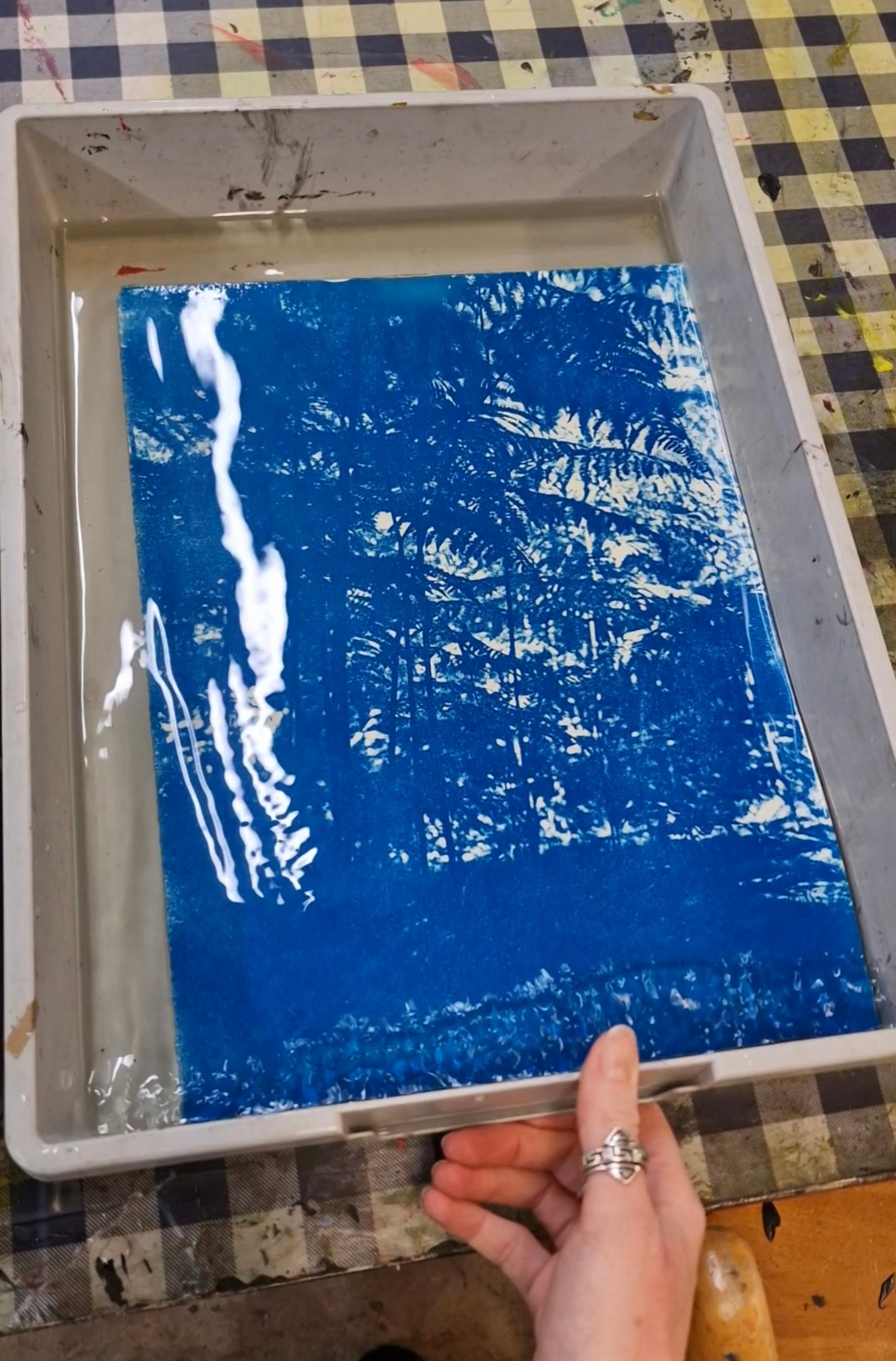 photo of processing blue cyanotype print