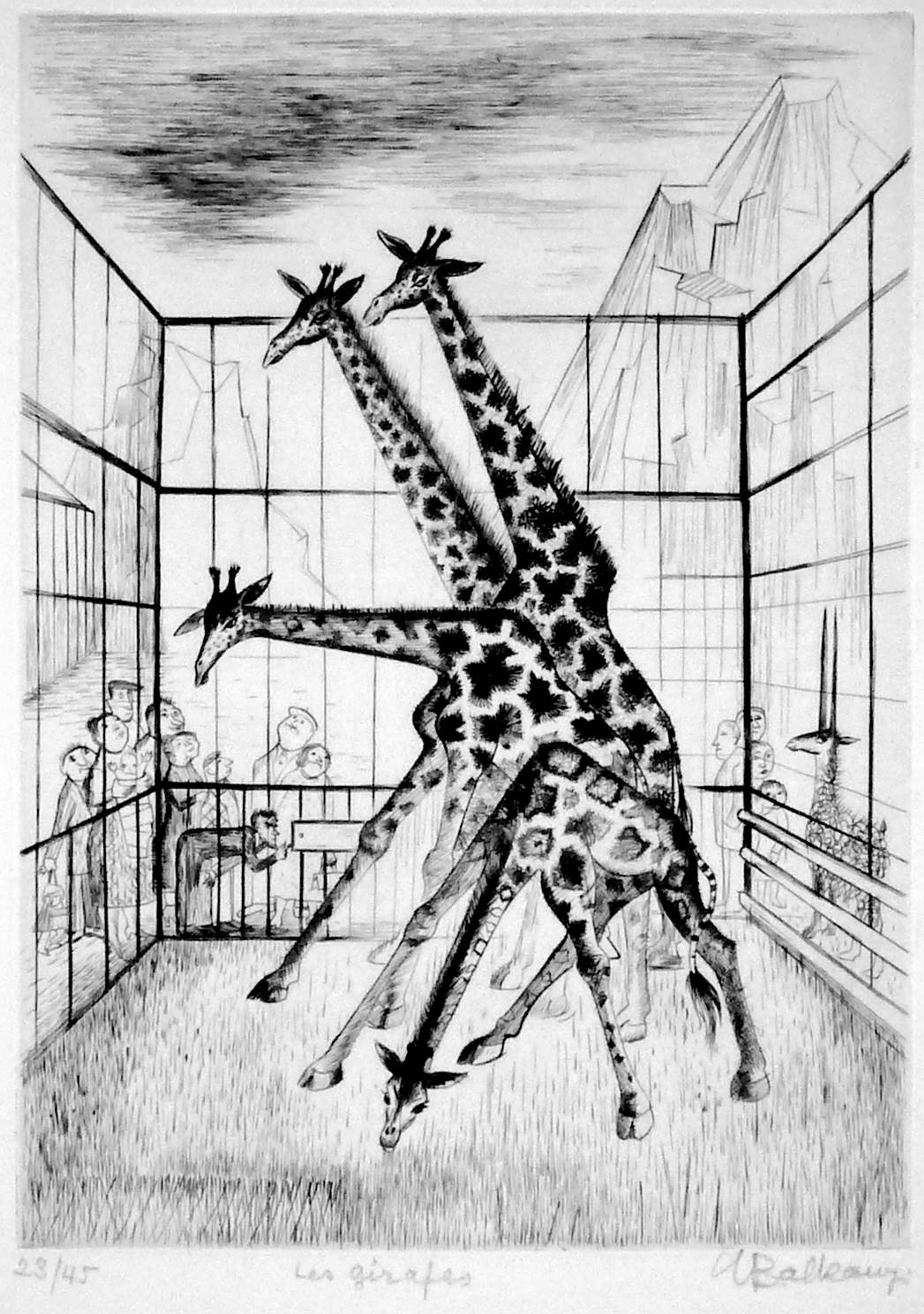 Suzannae Balkanyi illustrative print of 3 black and white giraffes