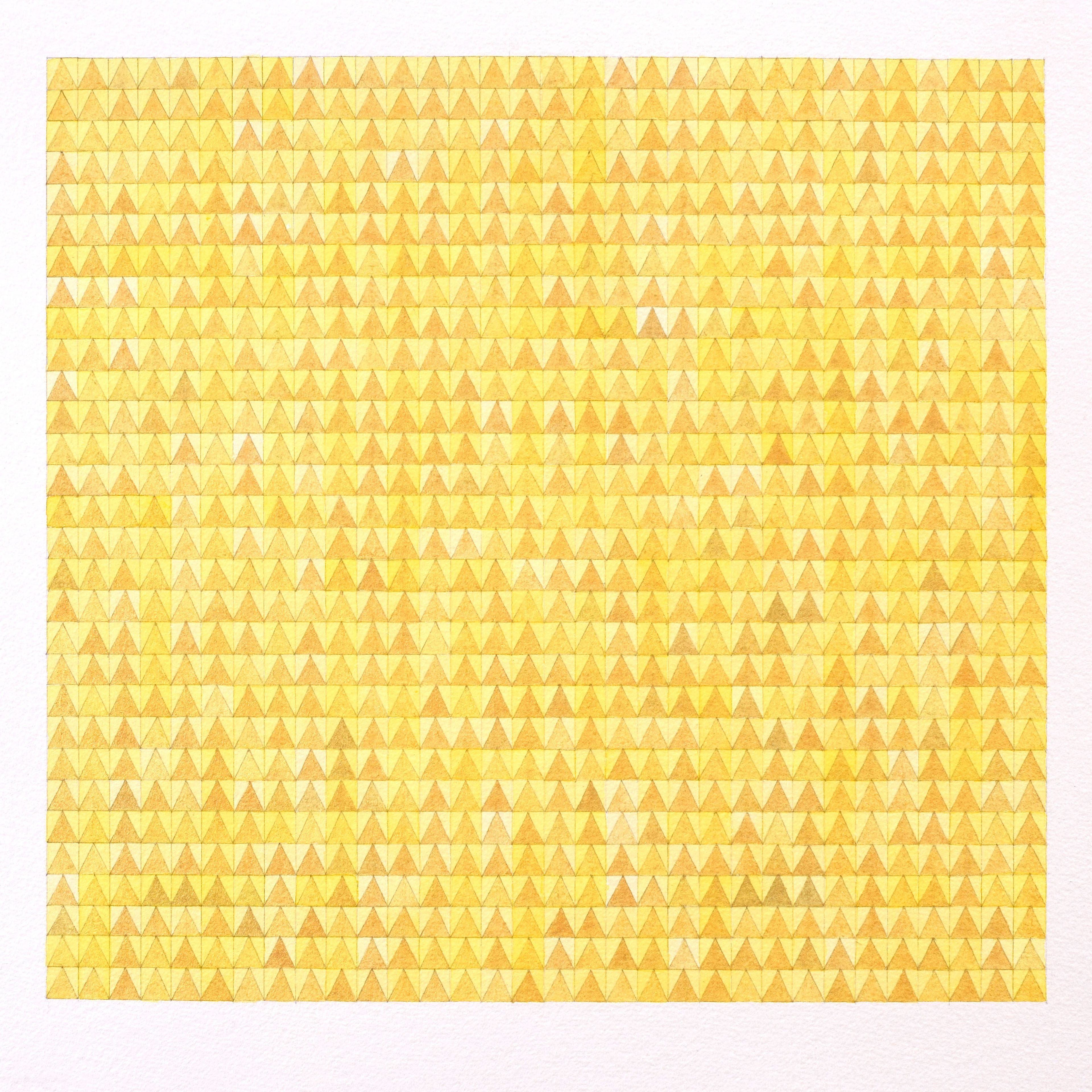 painted delicate yellow triangular grid various shades