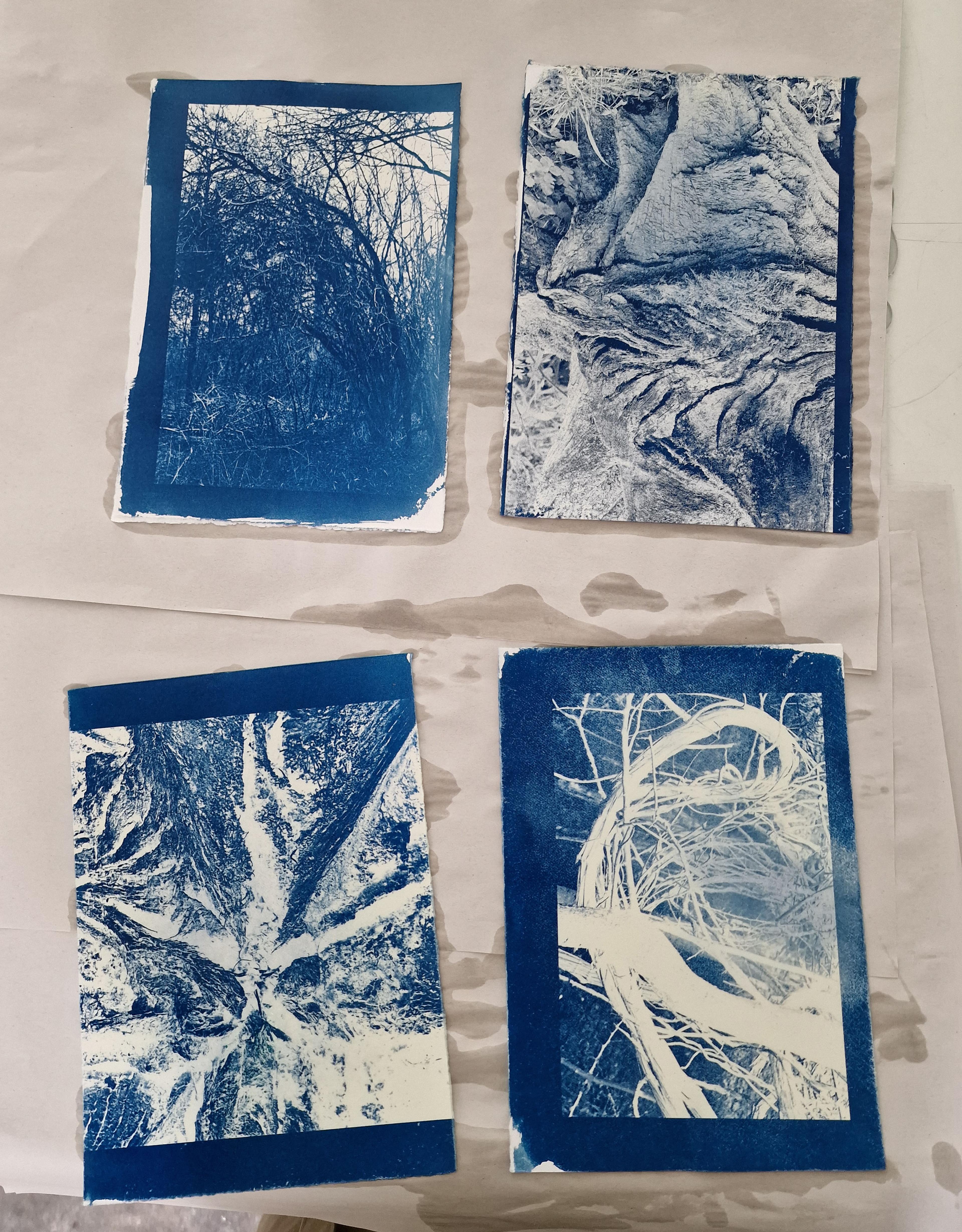4 examples of blue cyanotype prints