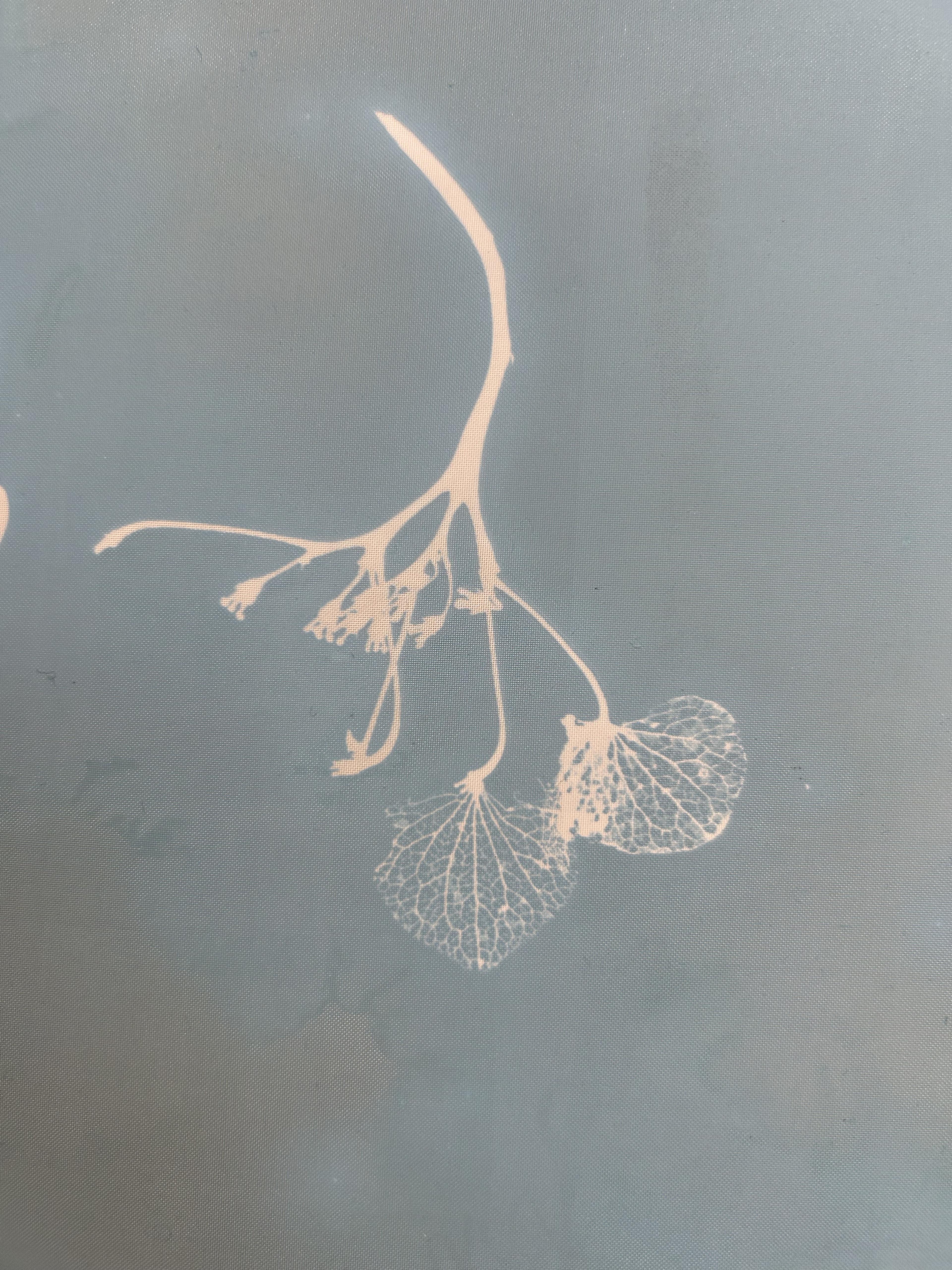 faded dark blue screenprint of botanical item