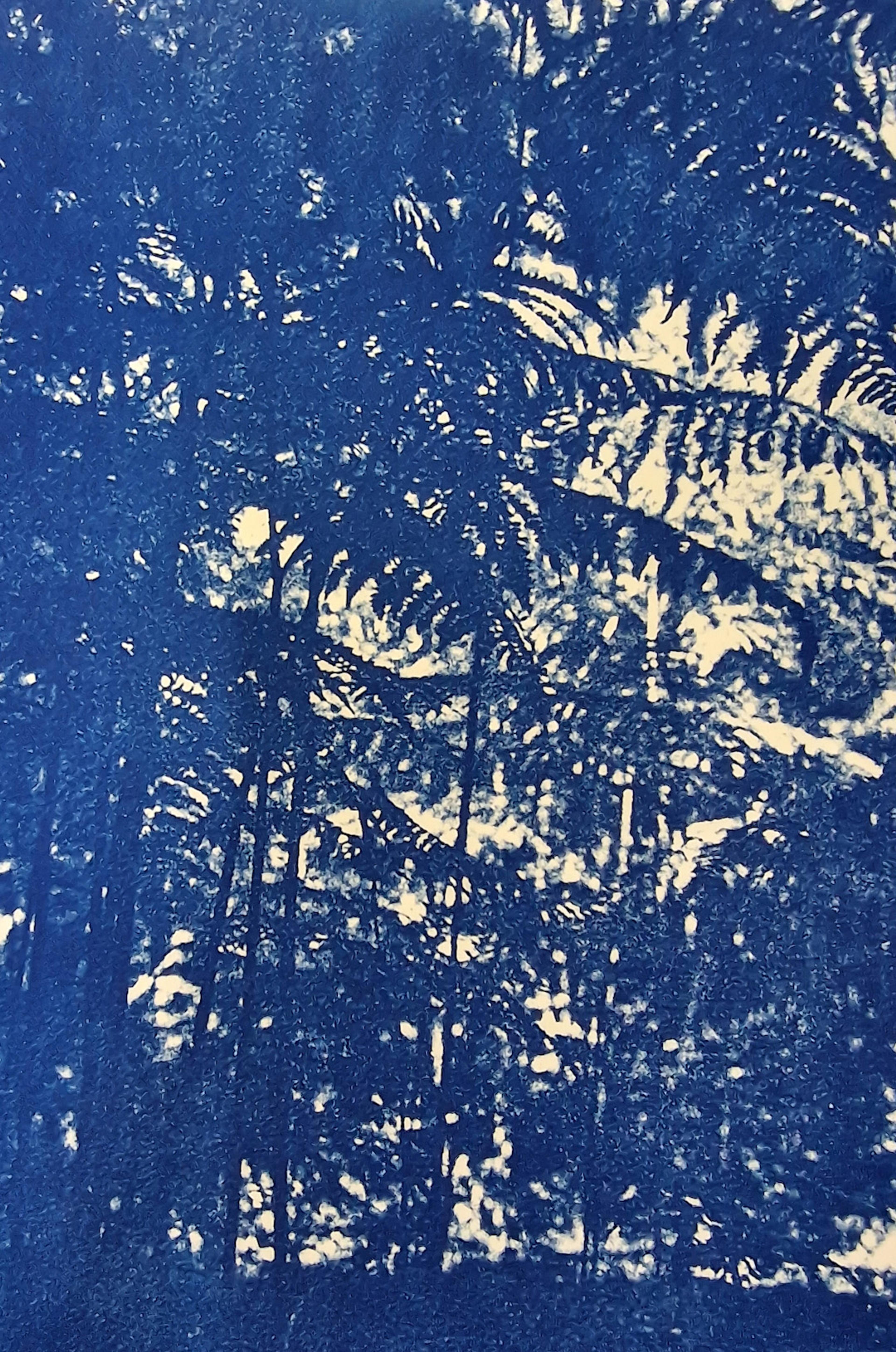 dense cyanotype print of forest