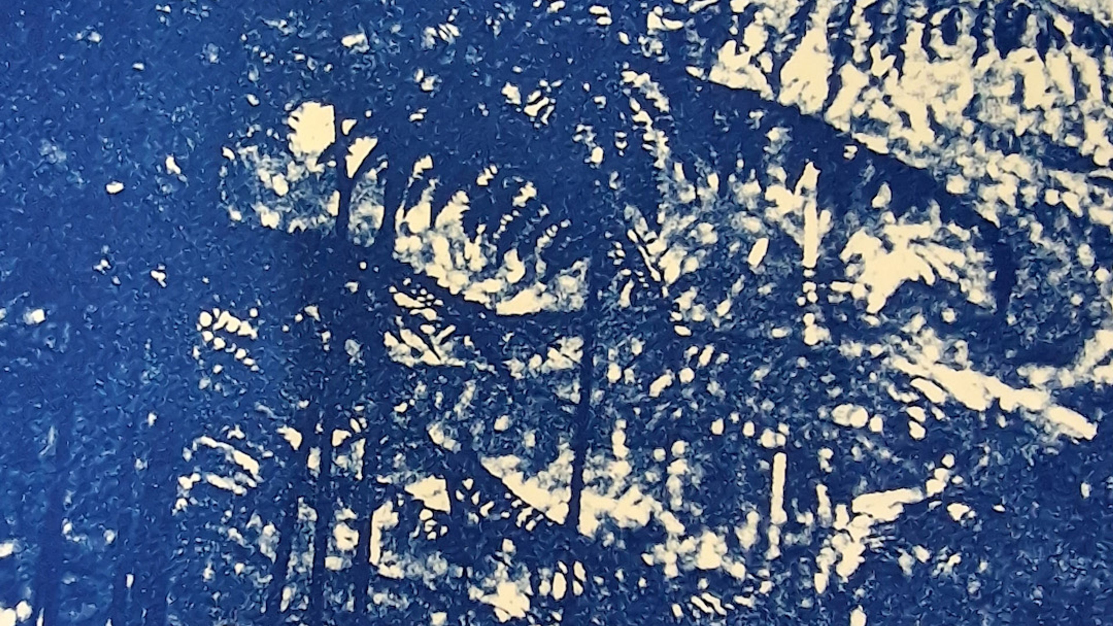 dense cyanotype print of forest