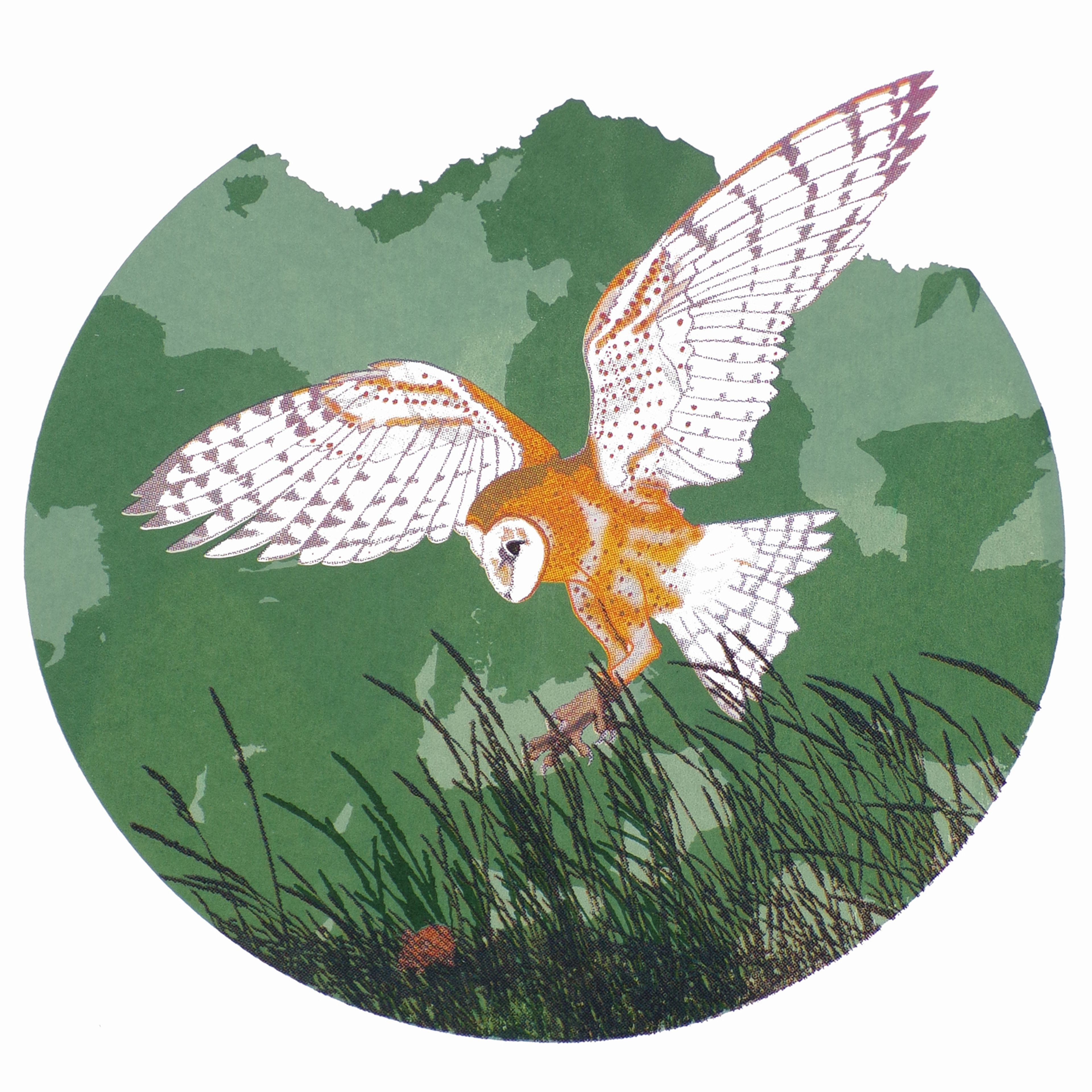 graphic multicolour screenprint of owl landing in grass