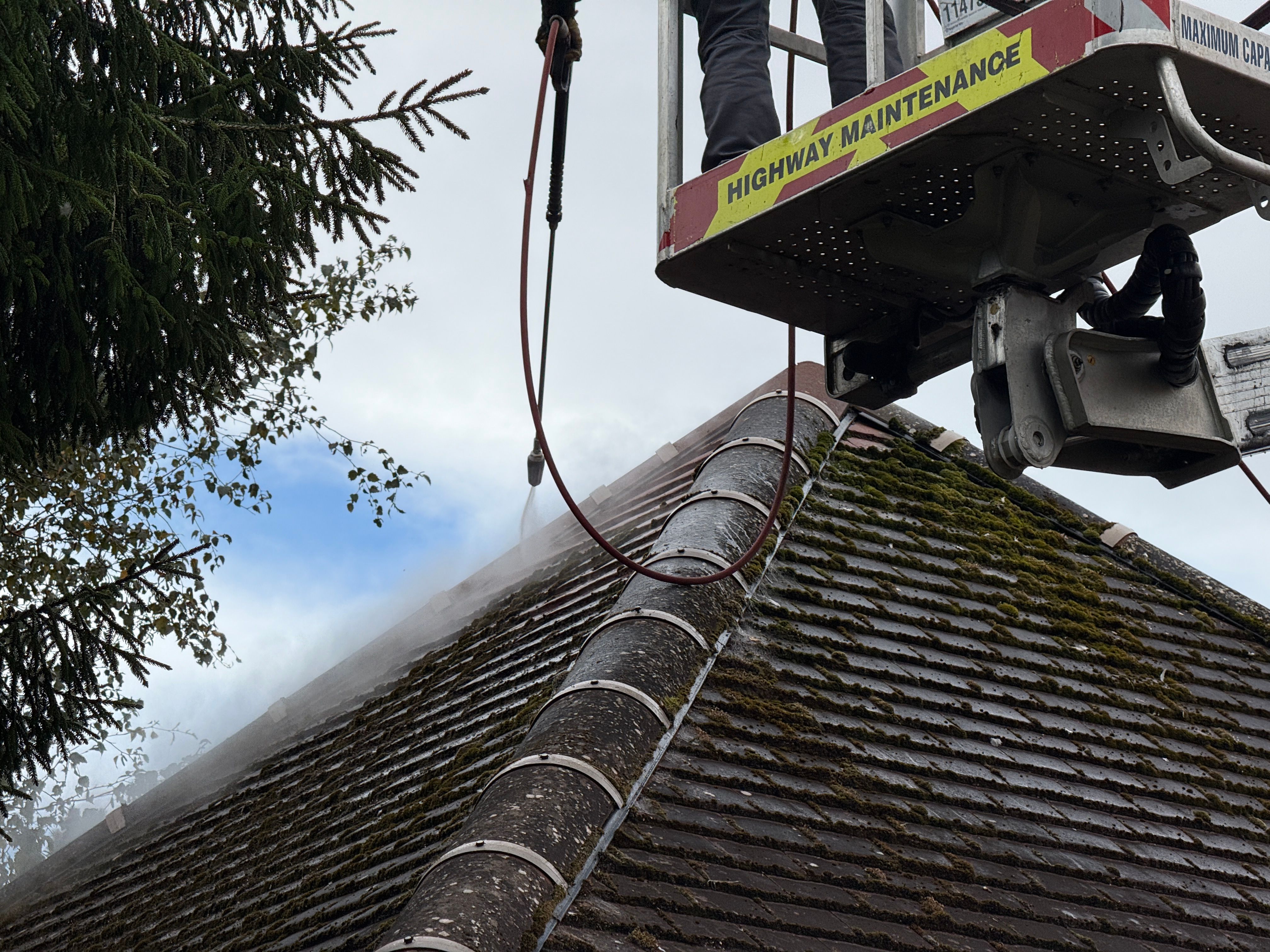 Moss Laden roof Cleaned 