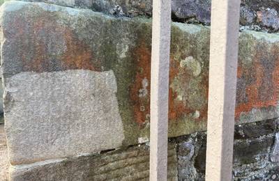 DOFF Sample Cleaning in Scottish Borders