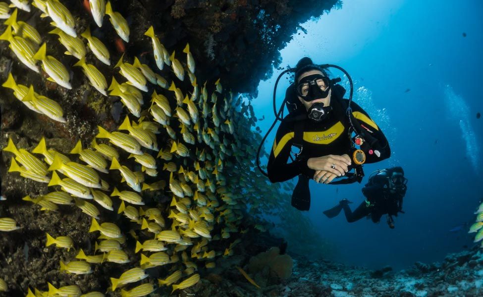 Professional scuba diving in Goa