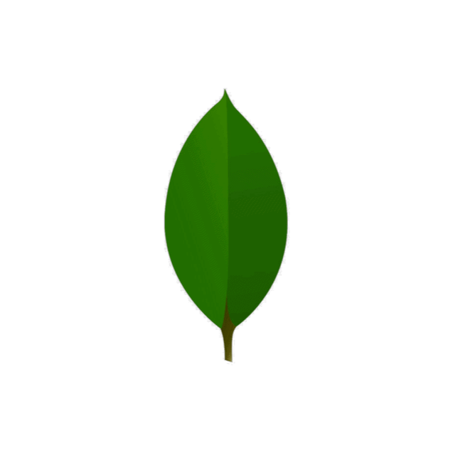 MongoDB logo