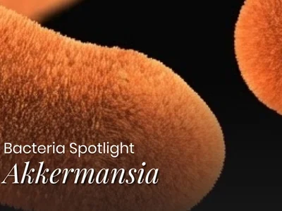 Akkermansia muciniphila: What It Does and Why It's in So Many Supplements