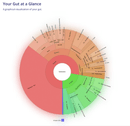 Information to Insights