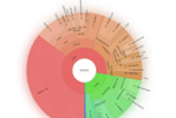 Information to Insights
