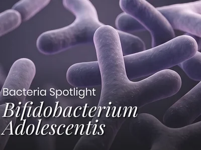 Why do you need Bifidobacterium adolescentis?