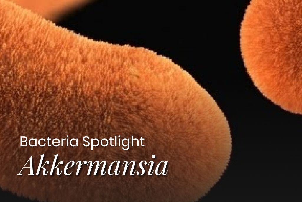 Akkermansia muciniphila: What It Does and Why It's in So Many Supplements