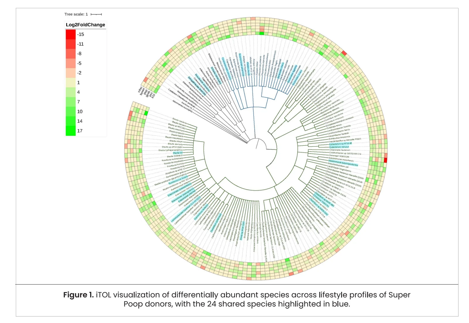 Microbiome Interactions in Health and Disease (2026)