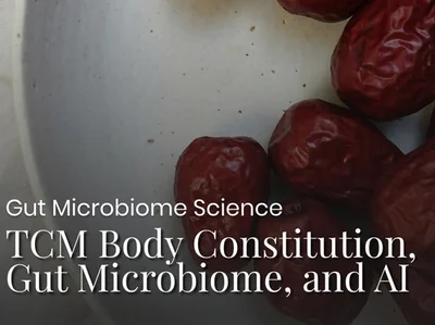Bridging Ancient Wisdom and Precision Health: TCM Body Constitution, the Gut Microbiome and AI