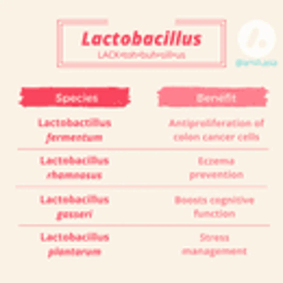 Bacterial Spotlight: Lactobacillus