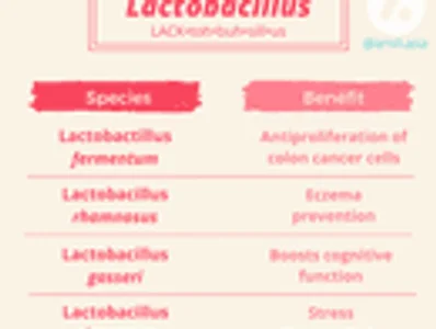 Bacterial Spotlight: Lactobacillus