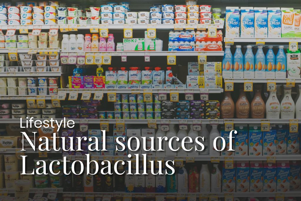 Natural Food Sources of Lactobacillus, and Which Still Contain Live Bacteria