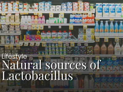 Natural Food Sources of Lactobacillus, and Which Still Contain Live Bacteria