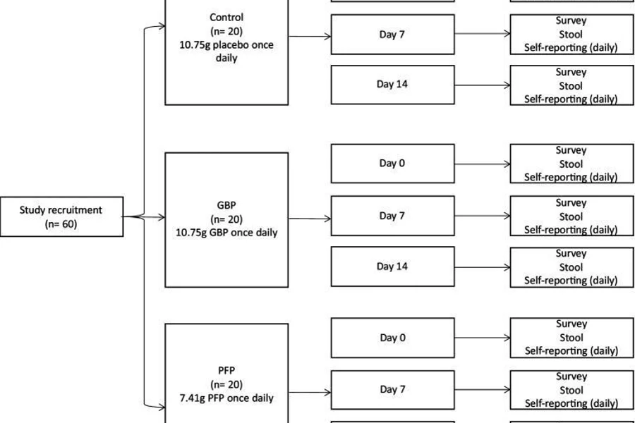 Effect of green banana and pineapple fibre powder consumption on host gut microbiome