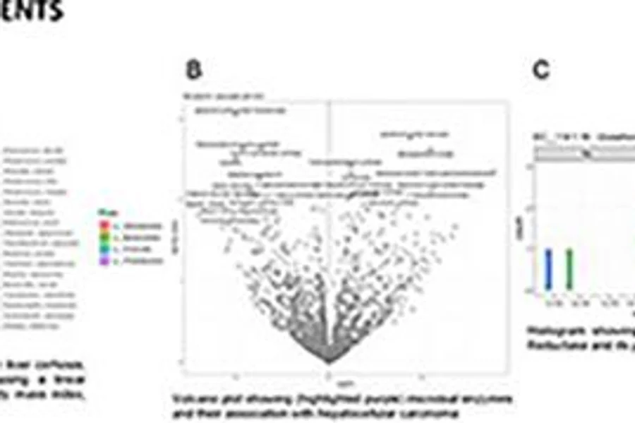 Microbial features in Patients with Hepatocellular Carcinoma: A pilot cross-sectional study