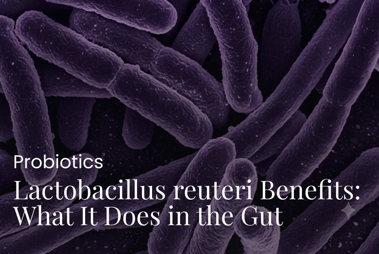 Lactobacillus reuteri Benefits: What It Does in the Gut