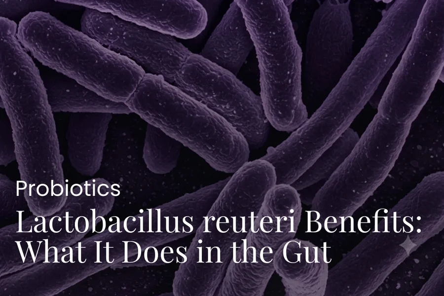 Lactobacillus reuteri Benefits: What It Does in the Gut