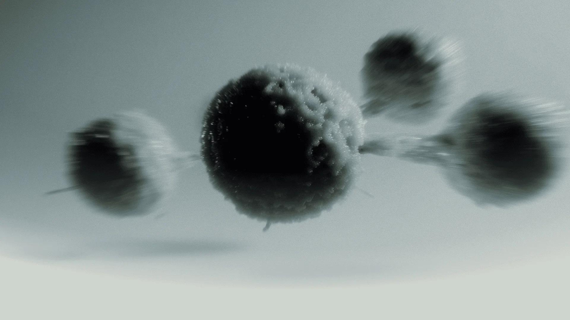 Bacteroidetes and Firmicutes: What’s the Deal?
